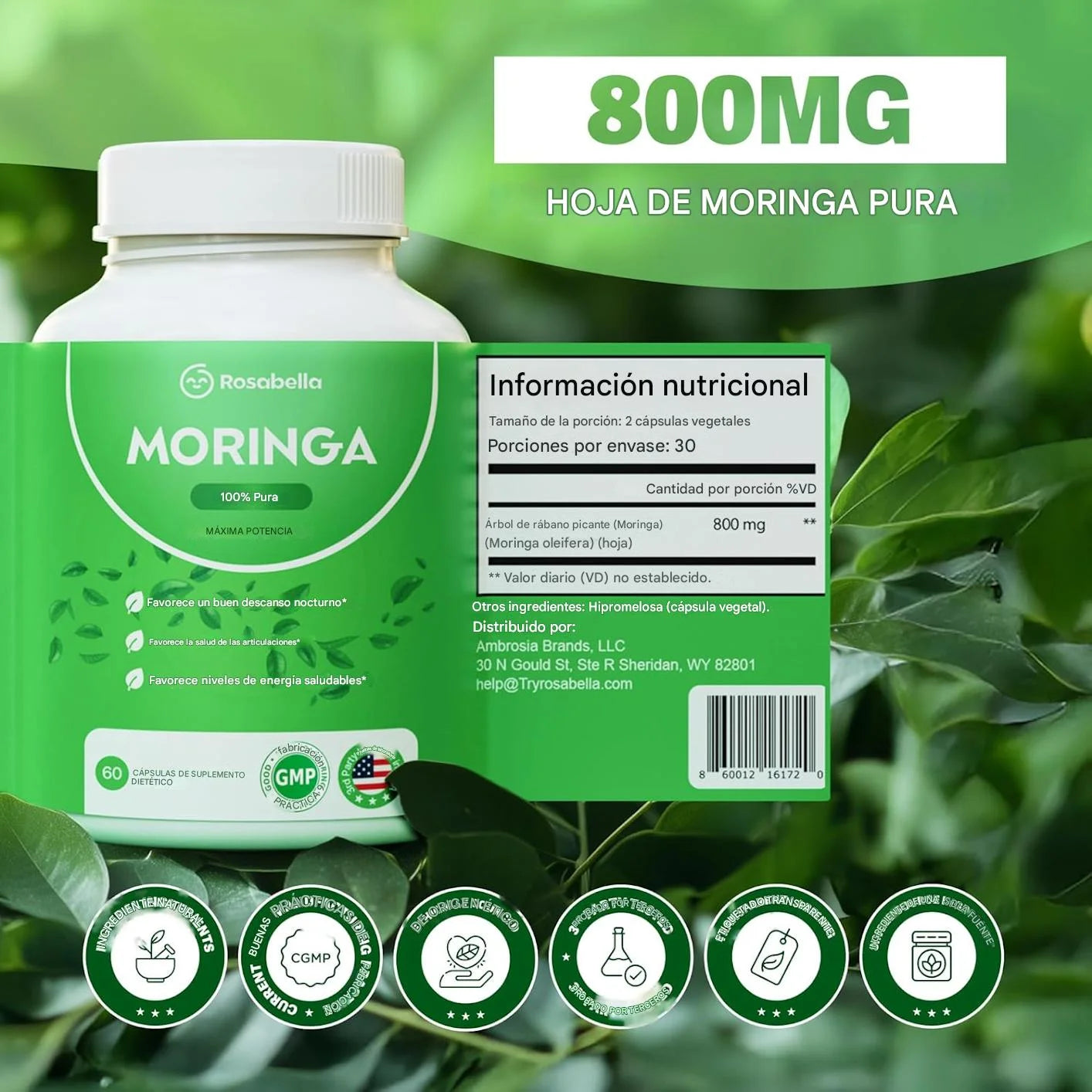 Moringa en Capsulas 100% natural